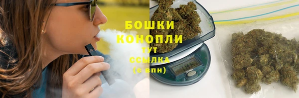 ГАЛЛЮЦИНОГЕННЫЕ ГРИБЫ Осинники
