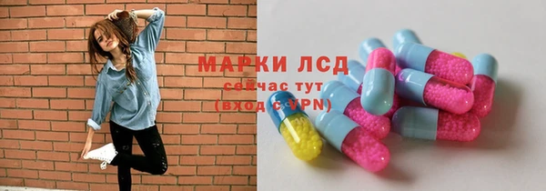 PSILOCYBIN Вяземский