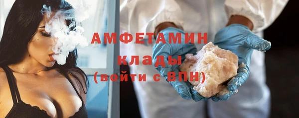 сатива Няндома