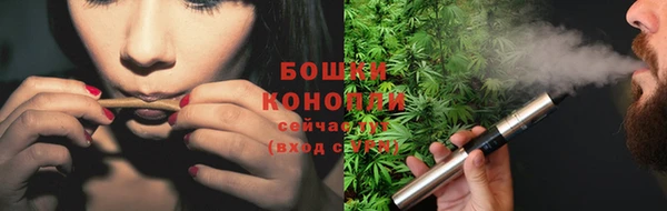 сатива Няндома