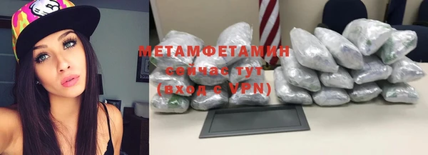 сатива Няндома