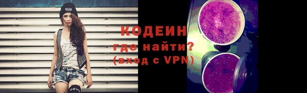 сатива Няндома