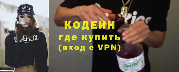 сатива Няндома