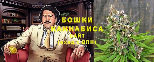 сатива Няндома