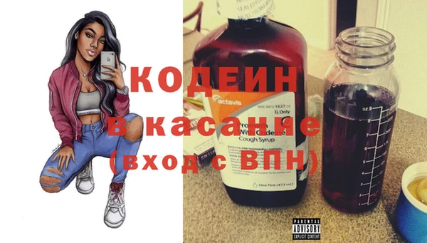 сатива Няндома