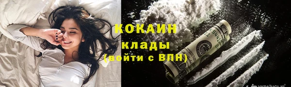 сатива Няндома