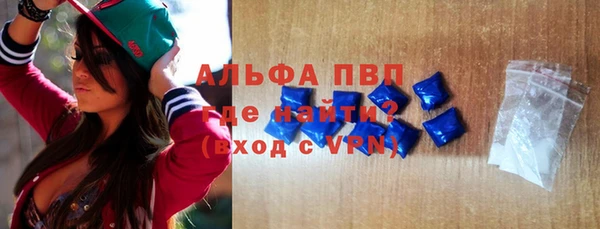 сатива Няндома
