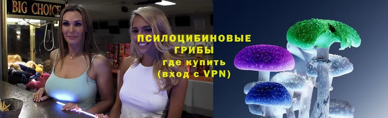 купить   сайты даркнета формула  Псилоцибиновые грибы Psilocybe  Руза 